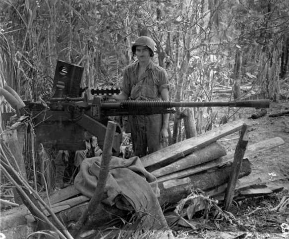 WNJAP_25mm-60_mg_Guam_pic.jpg