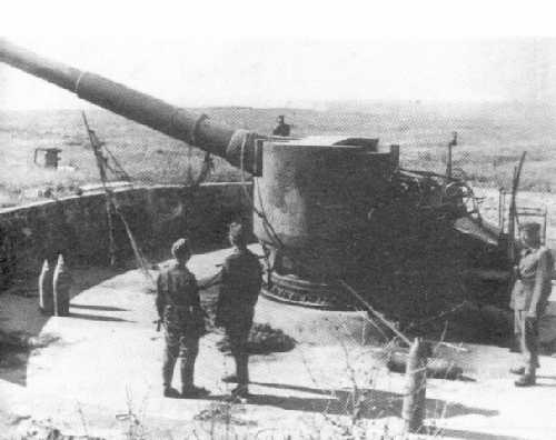 WNRussian_8-50_m1905_pic.jpg