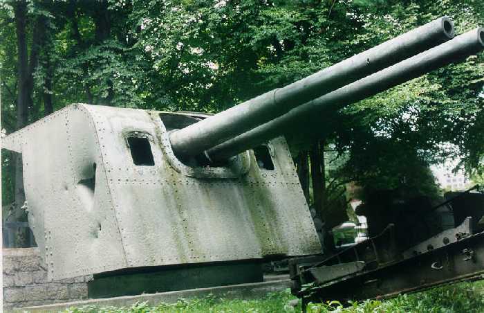 WNSweden_47-50_m1934_twin_pic.jpg